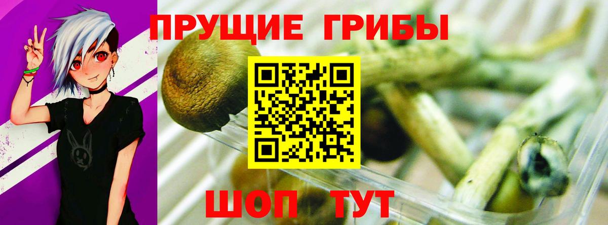 Псилоцибиновые грибы мицелий  Вход с VPN  Омск 